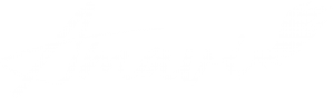 Amavi logo